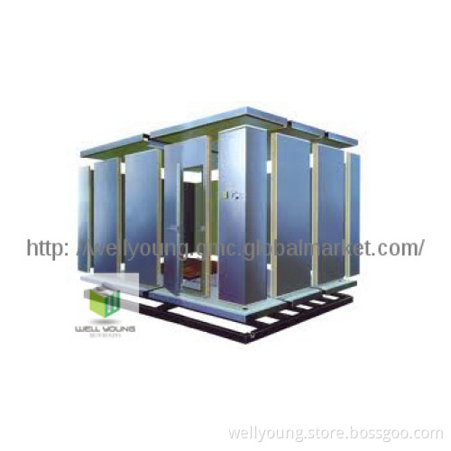 building with structural insulated panel